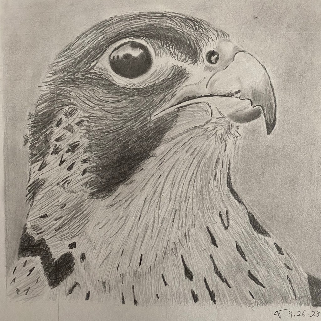 AB15.  A Difficult&nbsp;Relationship