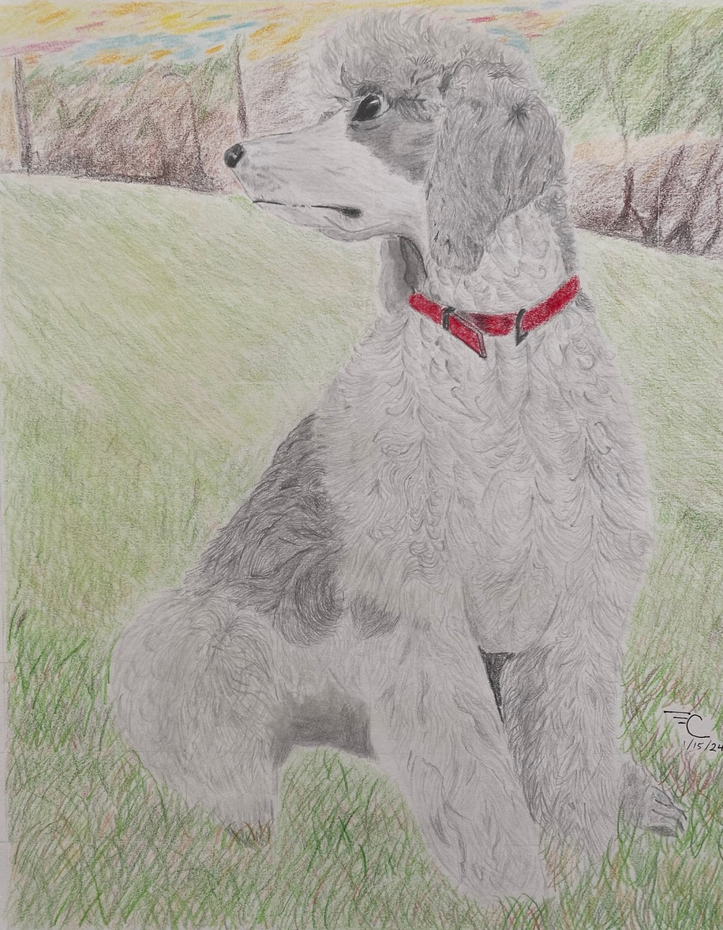 AB23.  By Whose&nbsp;Standard?