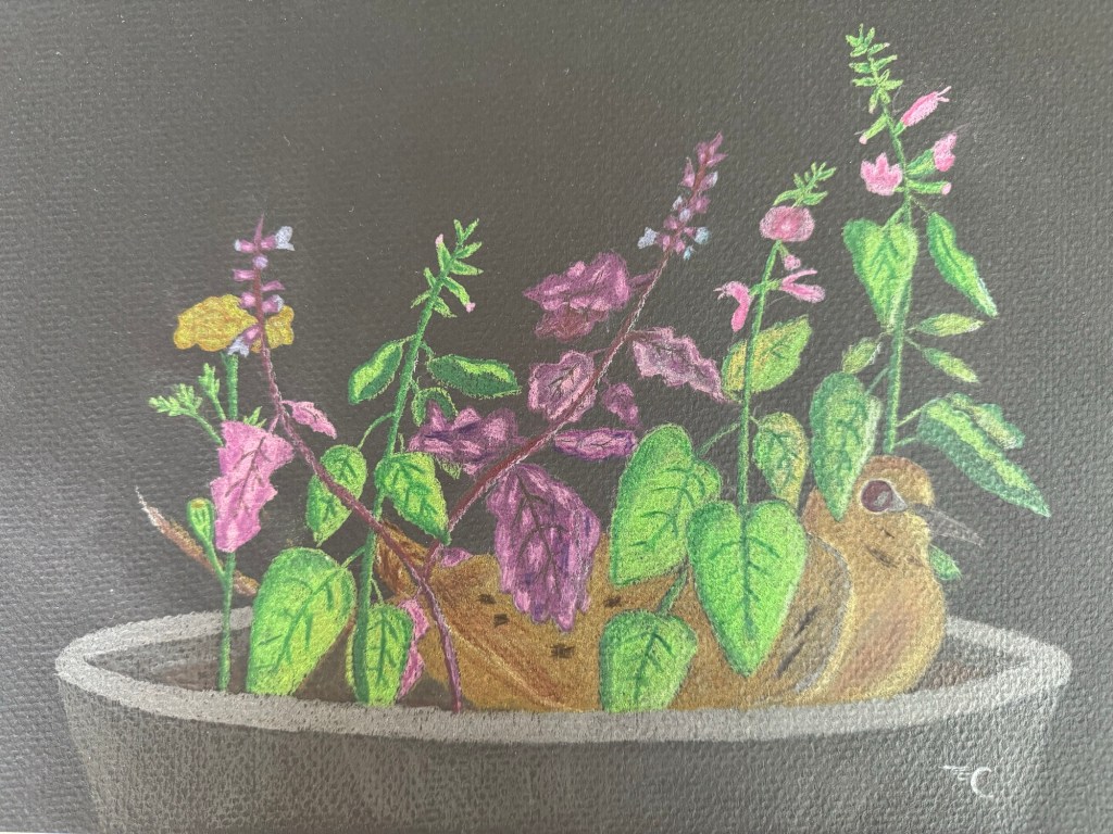 AB27.  Unexpected Messengers